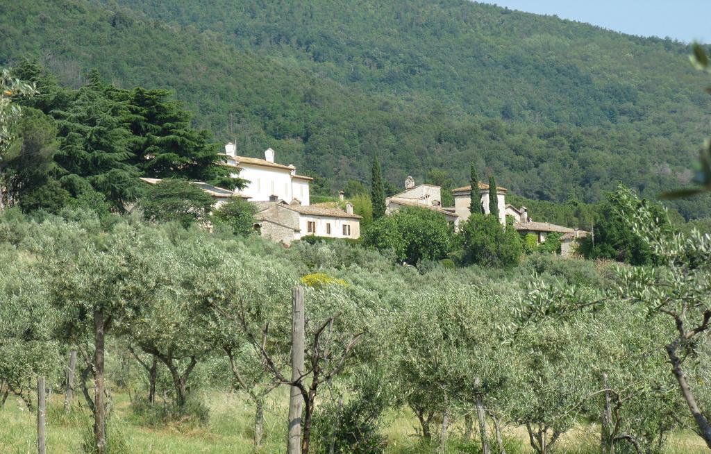 Della Genga Resort Arezzola 객실 사진