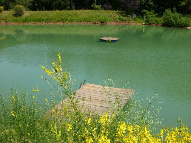 Della Genga Resort Arezzola 객실 사진